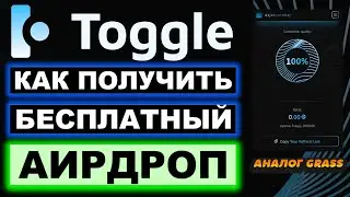 Toggle Pro Extension бесплатный Airdrop: полный обзор расширения. Аналог Grass