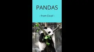 How do I convert Excel data to pandas dataframes? |  Data Science  