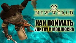 Как поймать УЛИТКУ (Snail) и МОЛЛЮСКА (Clam) | КВЕСТ - Baited | NEW WORLD