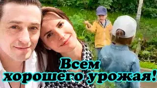 Сергей Безруков с семьей собрал богатый урожай на даче