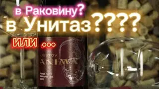Кубань-вино АРИСТОВ АНИМА за 499 рублей от Кубань-вино. ANIMA ARISTOV Санджовезе.