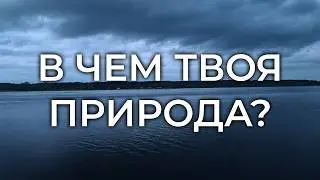 СПОРТ или ОБРАЗ ЖИЗНИ