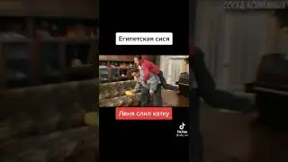 египетская сися