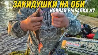 Ночная рыбалка на Оби на закидушки #2