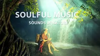 Music of nature. Sounds of nature. Soulful music