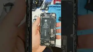 Water damage iPhone? Will it work?!!!