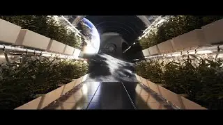 New Moon Scene Showcase
