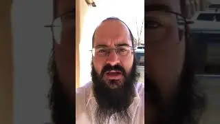 Rabbi Eli Kaminetzky Endorsement to Eliyahu Shear for Sofrut Lessons