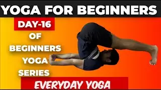 Yoga for Beginners | Day -16 of 30 days yoga series | Everyday Yoga | Yoga Glow