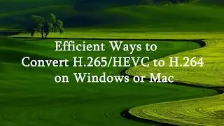 Efficient Ways to Convert H.265/HEVC to H.264 on Windows or Mac