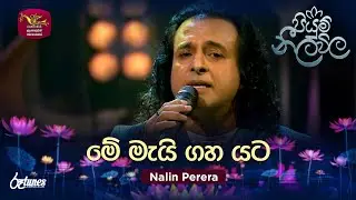 Me Mai Gaha Yata | මේ මැයි ගහ යට | Nalin Perera | Piyum Neela Vila | Roo Tunes