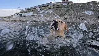 Мэни учит Дени плавать🙈 Дени заплыл на глубину и чуть не утонул😨