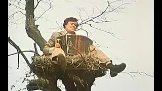 🔴LIVE🔴 Брестский аист, Гнездо онлайн, New, 4K