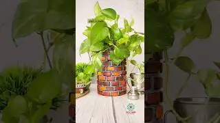 Let's recycle cookies tin 😍 | planter | Home Garden #shorts #explore #diy