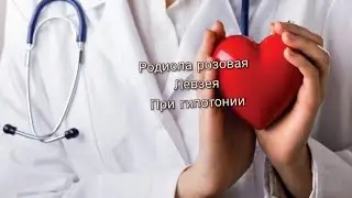 настойка золотого корня и настойка левзея при общей слабости