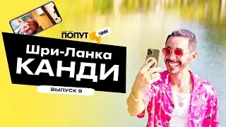 Попутчик #9 | Канди