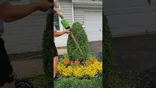 #trim #trimmer #hedgetrimming #beforeandafter #satisfying #diy #oddlysatisfying #satisfying