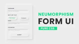 Neumorphism UI Form | Pure CSS