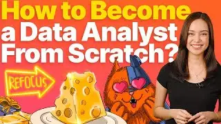 How to Become a Data Analyst From Scratch