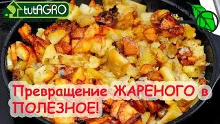 Делюсь хитростью как вкусное сделать полезным. Жареное - это полезно!