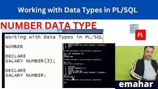 Number Data Type | PLSQL