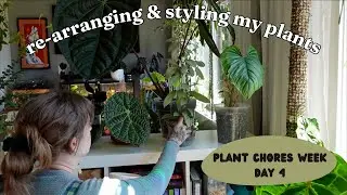 re-arranging my plant collection 🌞 (& bonus plant mail unboxing!)