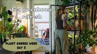 addressing my messy & cluttered ikea greenhouse cabinet 🌿