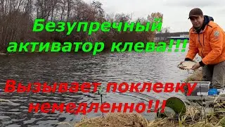Безупречный активатор клева!!! Вызывает поклевку немедленно!!!