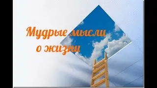 Мудрые мысли. Полезные советы. Мудрые высказывания о жизни. Цитаты