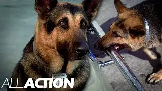 The Bionic Dog To The Rescue! | The Bionic Woman | All Action