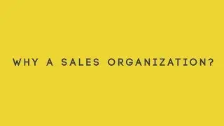 Why Build a Sales Organization?