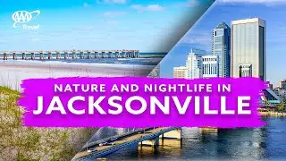 Best family friendly things to do in Jacksonville, Florida - AAA Travel