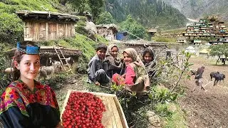 Unseen Pakistani Village Life at Top of Coldest Mountain | Ancient Culture | Stunning Pakistan