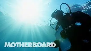 Douglas McCauley Protects the Oceans with Big Data: Humans of the Year