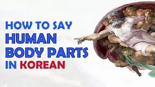 How to Say Human Body Parts (LIMBS-ARM&LEG) in KOREAN