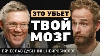 Как избавиться от старых убеждений? Про лень, инфофастфуд и как помочь мозгу быть эффективнее?