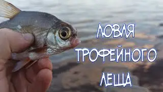 Ловля трофейного леща, рыбалка на Каме в городе Пермь.