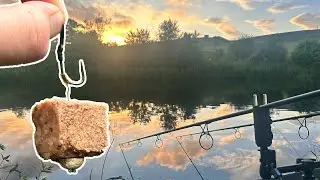 Targeting Wels Catfish | Rigs, Tips and Setup