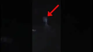 Would you run away? 