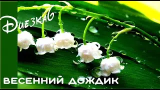 Евгений Бедненко. Диезка №6 