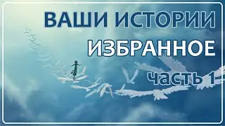 Ваши Истории - Избранное (часть 1)