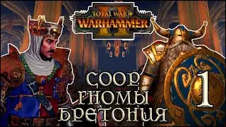 Total War: Warhammer 2 coop ► Клан Ангрунд и Бретония, #1