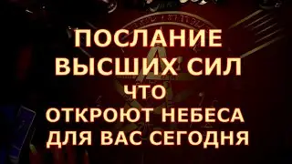 💌🕊️ ПОСЛАНИЕ ВЫСШИХ СИЛ ДЛЯ ВАС ЧТО ВАЖНОЕ ОТКРОЮТ НЕБЕСА ДЛЯ ВАС Таротерапия #tarot#shorts#gadanie