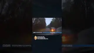 Пьяного бесправника задерживали со стрельбой 