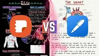 Samsung Notes VS Noteshelf | Samsung Tab S7+ Note Taking Comparison