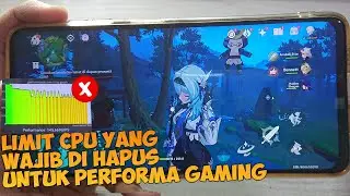 Lags & Framedrop When Gaming, It's Because Of This, Ram 3GB Genshin Impact 60FPS