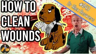 How to Clean a Wound on a Dog or Cat at Home (the right way!) - Dog Health Vet Advice