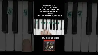 Ведьма и осел Король и шут на пианино 🎹 Обучение + Ноты