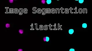 Image Segmentation with ilastik - Pixel Classification