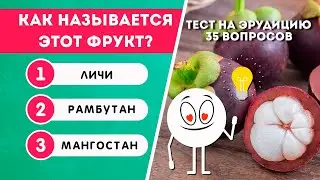 ТЕСТ НА ЭРУДИЦИЮ И ОБЩИЕ ЗНАНИЯ №5